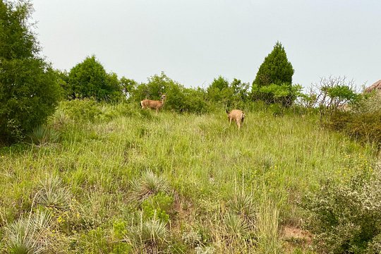 Tour image 11