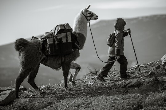 Tour image 4